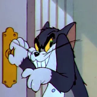 Tom&Jerry — 24