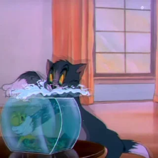 Tom&Jerry — 26