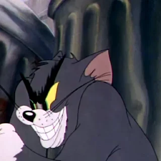 Tom&Jerry — 29