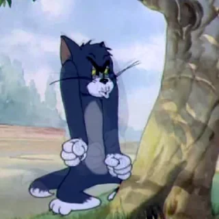 Tom&Jerry — 30