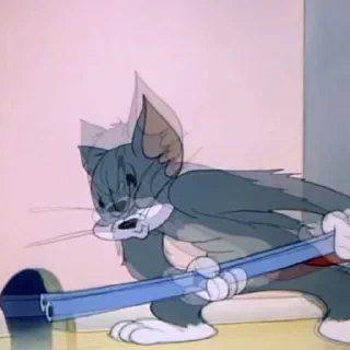 Tom&Jerry — 33