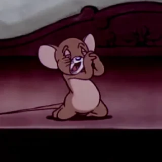 Tom&Jerry — 5