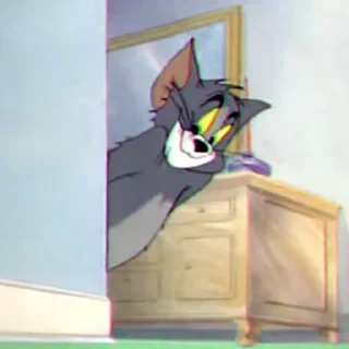 Tom&Jerry — 41