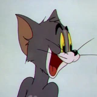Tom&Jerry — 42