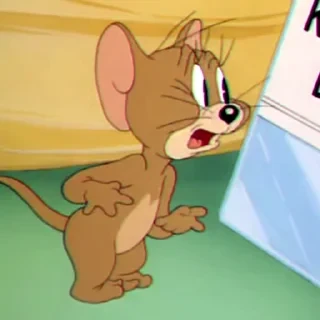 Tom&Jerry — 43