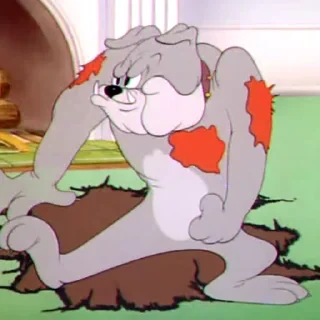 Tom&Jerry — 44