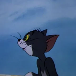 Tom&Jerry — 47