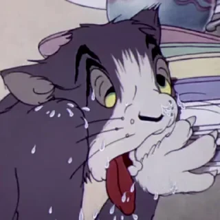 Tom&Jerry — 6