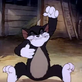Tom&Jerry — 9
