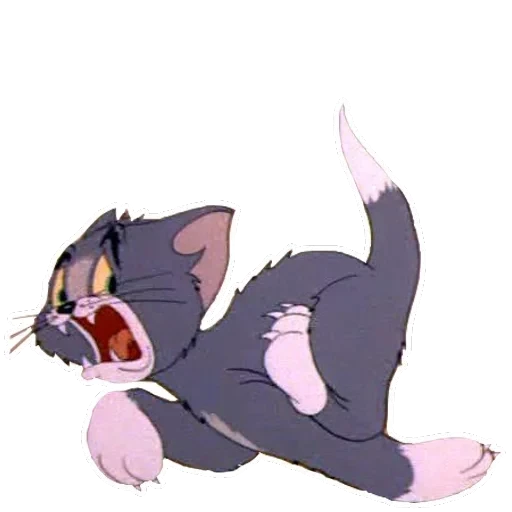 Tom Jerry — 18