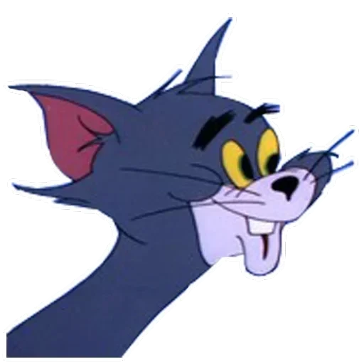 Tom Jerry — 19