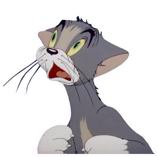 Tom Jerry — 21