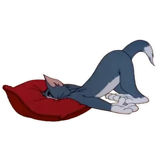 Tom Jerry — 45