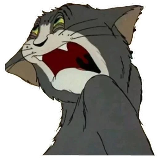 Tom Jerry — 6