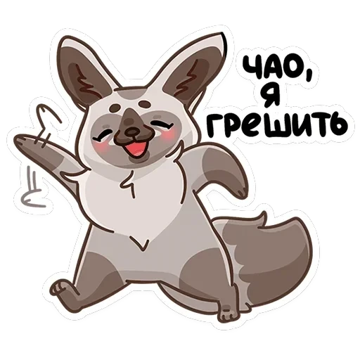 Топа — 14