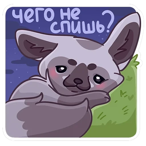 Топа — 6