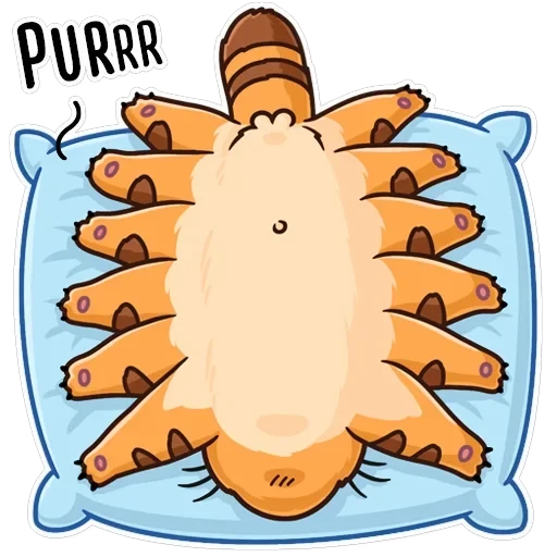 Totoro — 21