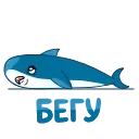 Акула 👉 @ok_sticker_bot — 16