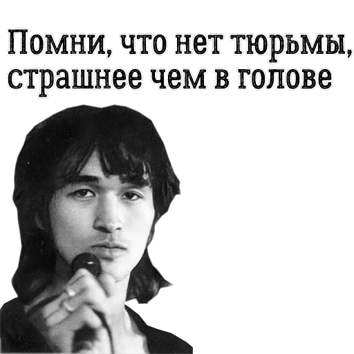 Цой жив! — 20