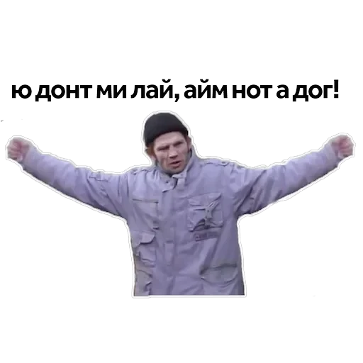 Ты мне втираешь какую-то дичь — 15