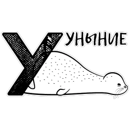 Тюлень Петя из Петербурга