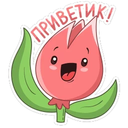 Тюльпанчик