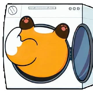 𝙁𝙤𝙭𝙮 🦊 — 22