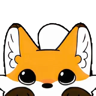 𝙁𝙤𝙭𝙮 🦊 — 40