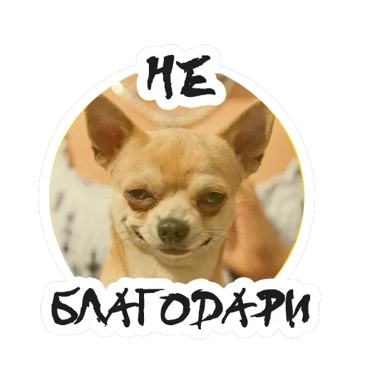 Упоротый Маркетолог — 43