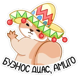 Броуди