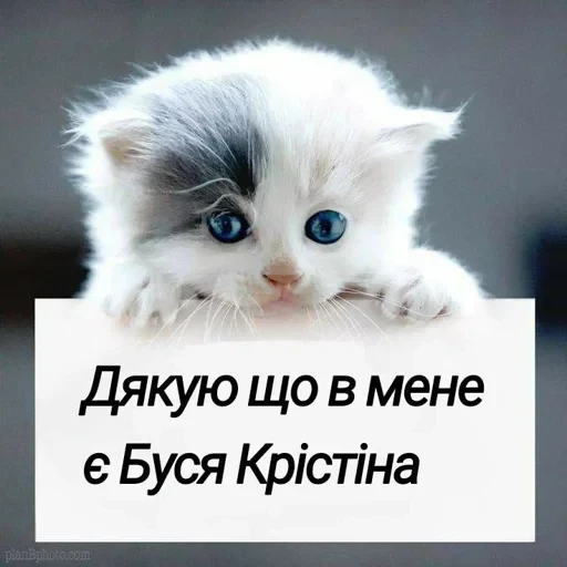 vall стікер пак 🤪😜😝 — 11