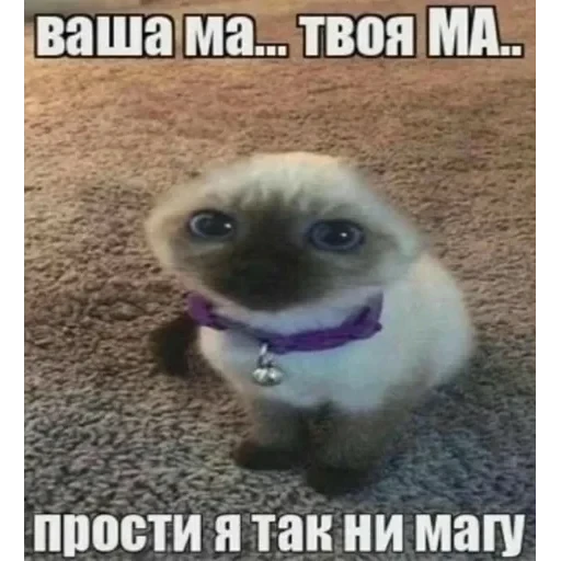 vall стікер пак 🤪😜😝 — 12