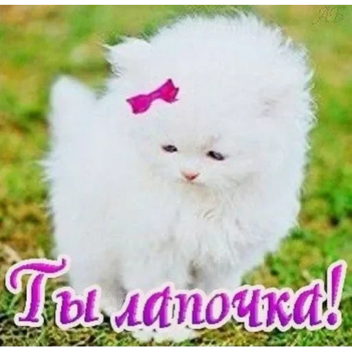 vall стікер пак 🤪😜😝 — 16