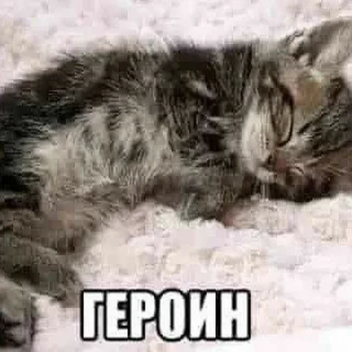 vall стікер пак 🤪😜😝 — 21