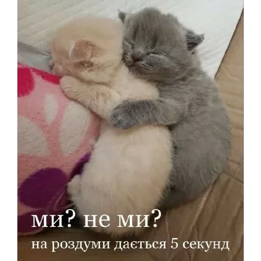 vall стікер пак 🤪😜😝 — 29