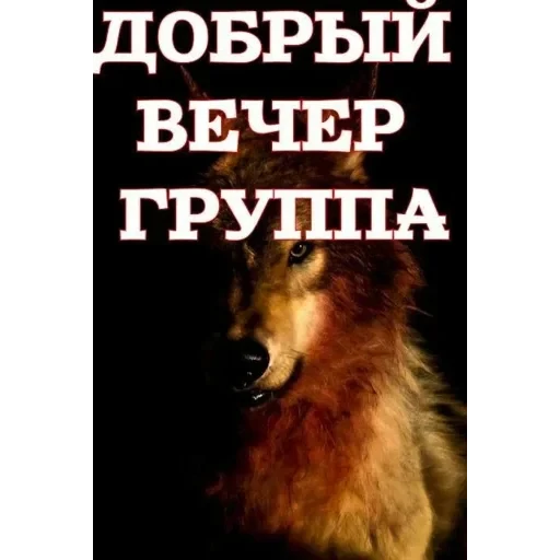 vall стікер пак 🤪😜😝 — 35