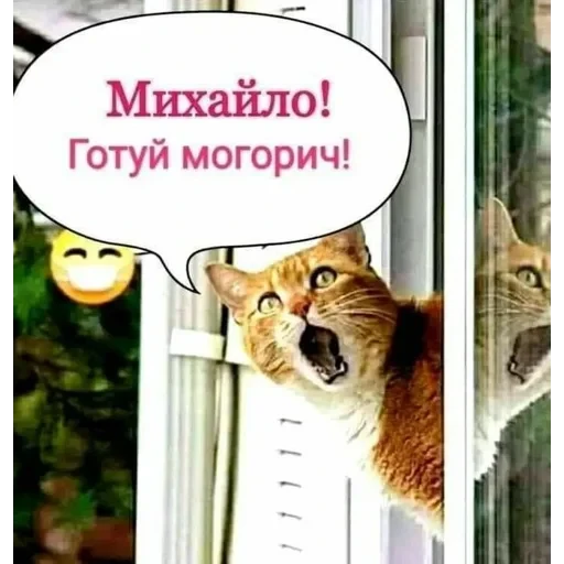 vall стікер пак 🤪😜😝 — 43