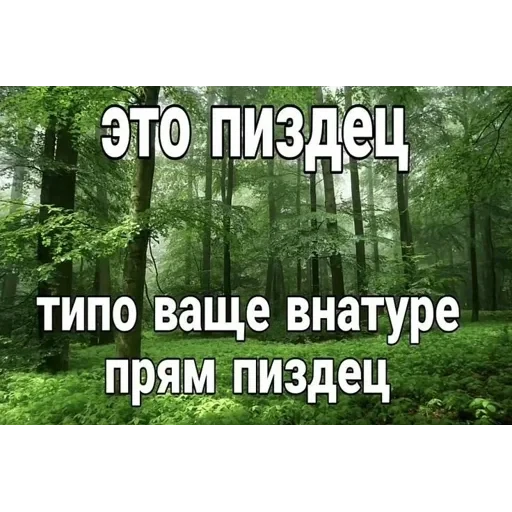 vall стікер пак 🤪😜😝 — 49