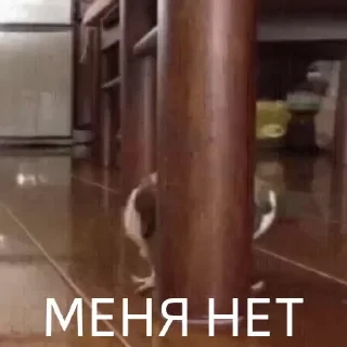 Вечные хиты — 13