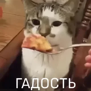 Вечные хиты — 14