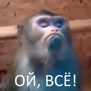 Вечные хиты — 21