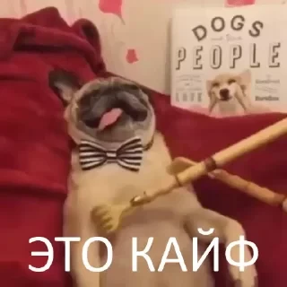 Вечные хиты — 23