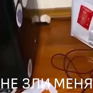 Вечные хиты — 26