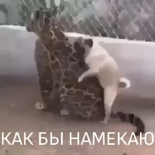 Вечные хиты — 27