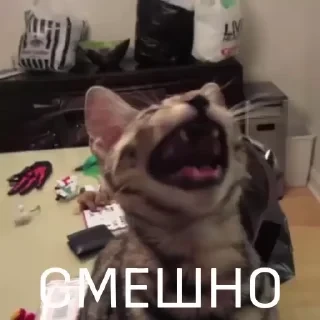 Вечные хиты — 30