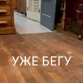 Вечные хиты — 7