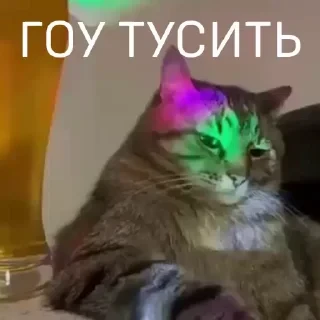 Вечные хиты — 8