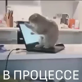 Вечные хиты — 9