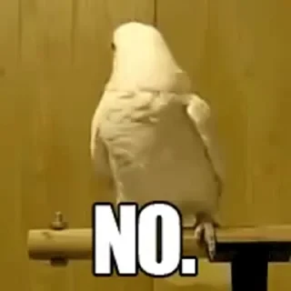 видеопопуги — 44
