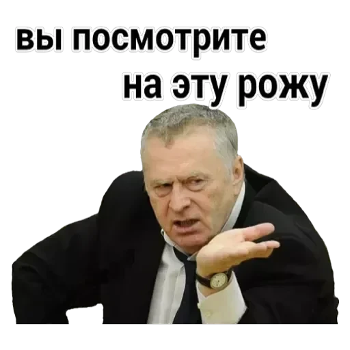 Vladimir — 12